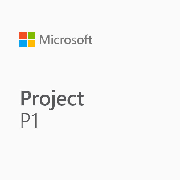 Microsoft Project Plan 1