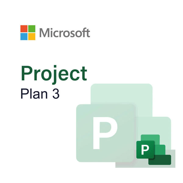 Microsoft Project Plan 3