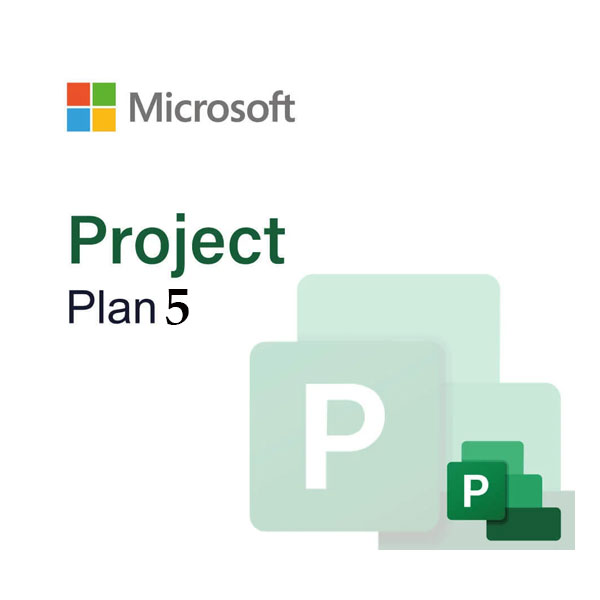 Microsoft Project Plan 5