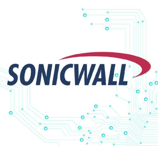 SonicWall consulting partner